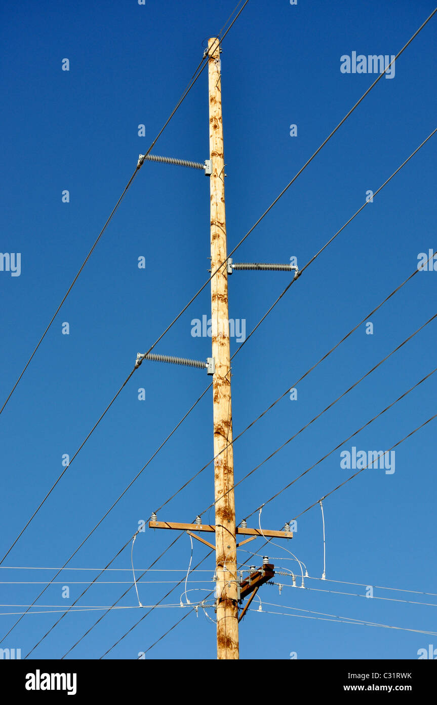 Poteaux d'électricité en milieu rural au Colorado Banque D'Images
