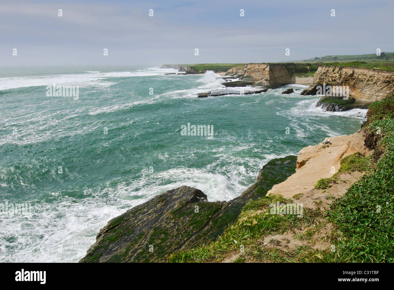 Des vues spectaculaires sur les falaises côtières de Wilder Ranch State Park à Santa Cruz. Banque D'Images