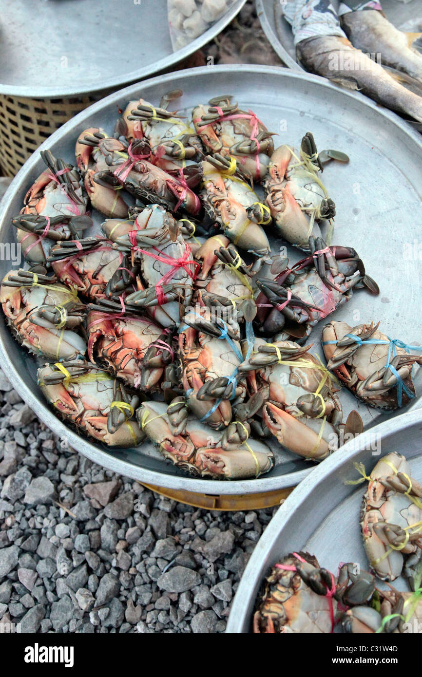 Vente de décrochage des crabes vivants, prise du jour, soir, marché de BANG SAPHAN, Thailande, ASIE Banque D'Images