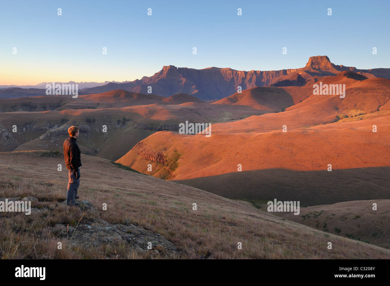 Male hiker donnant sur la montagne de l'amphithéâtre à l'aube de Witsieshoek, Parc national royal Natal, Afrique du Sud Banque D'Images