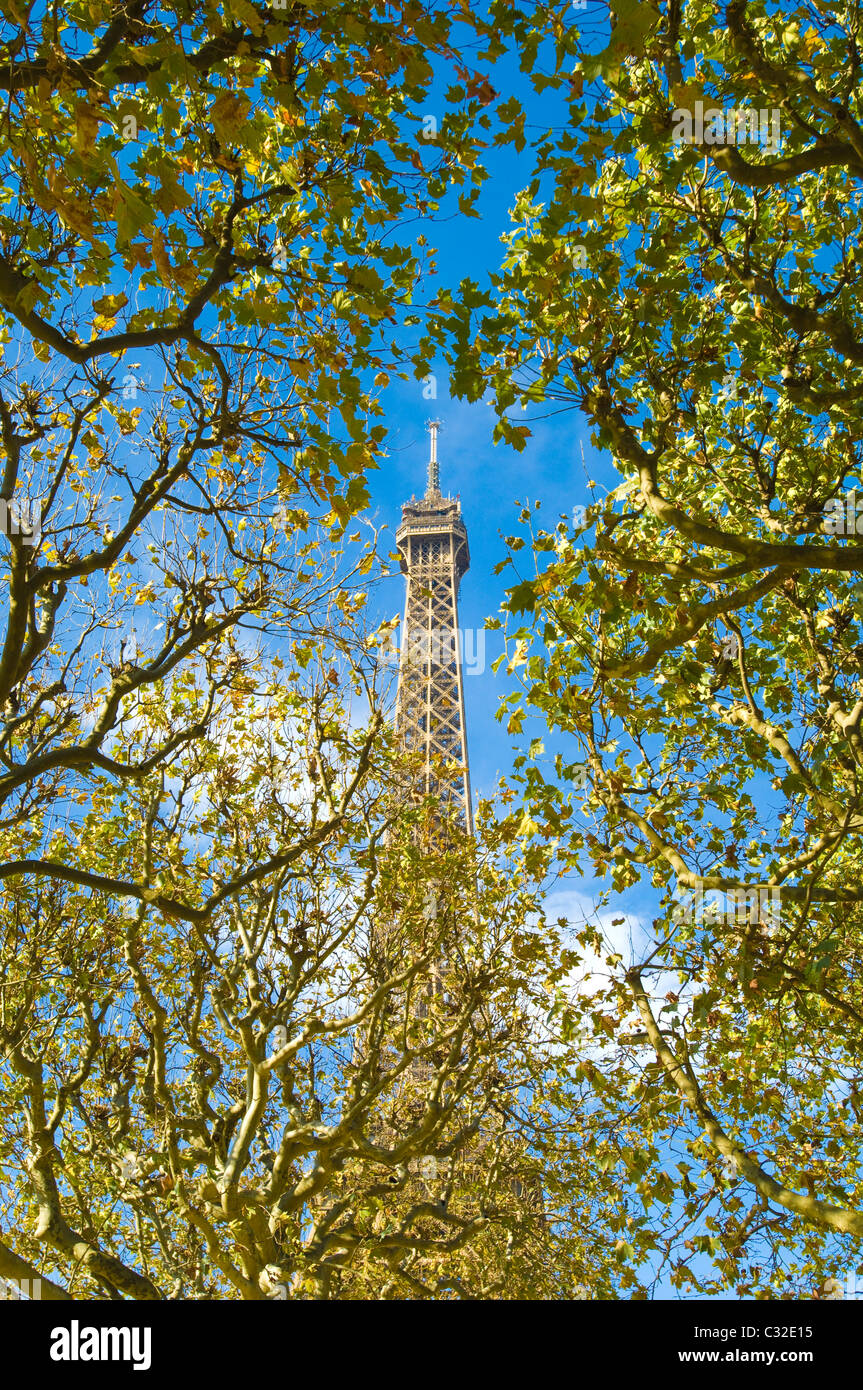 Vue sur la Tour Eiffel en regardant à travers les feuilles d'automne sur les arbres dans le parc du Champ de Mars Banque D'Images