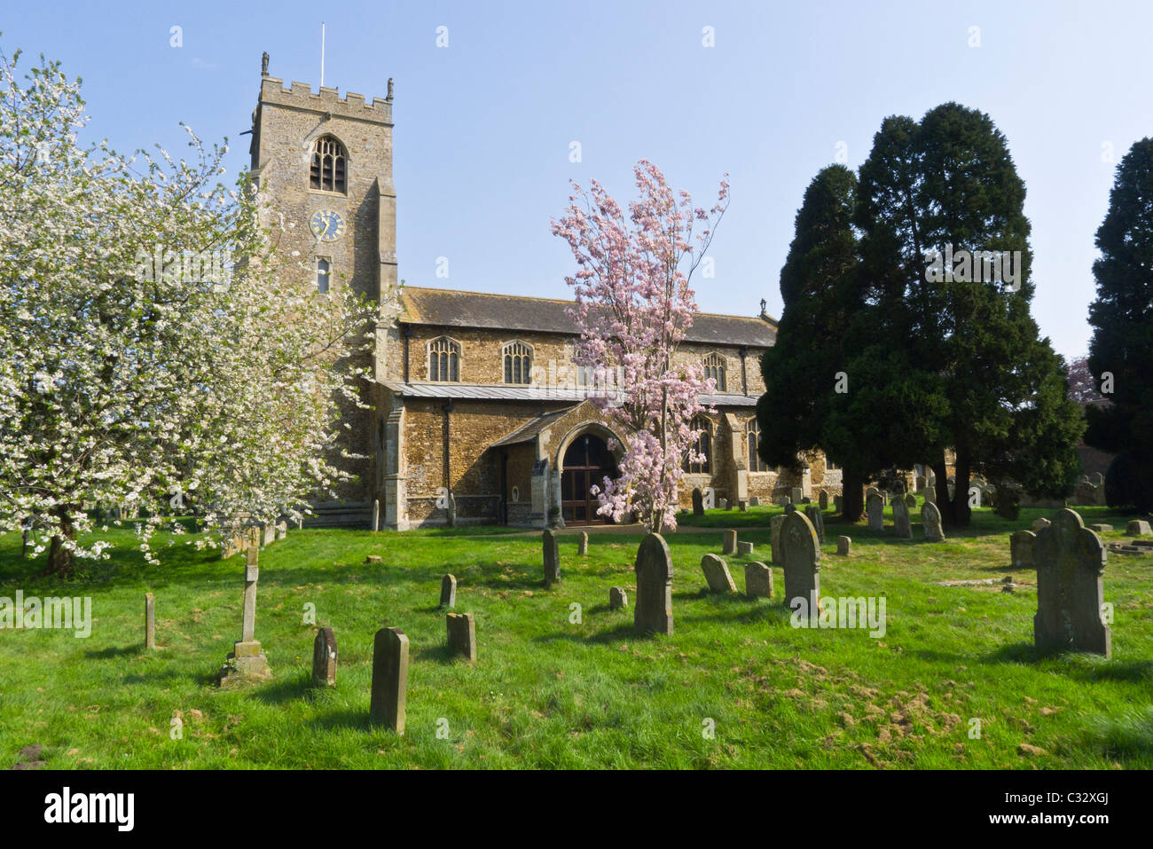 L'église St Nicolas à Dersingham, Norfolk. Banque D'Images