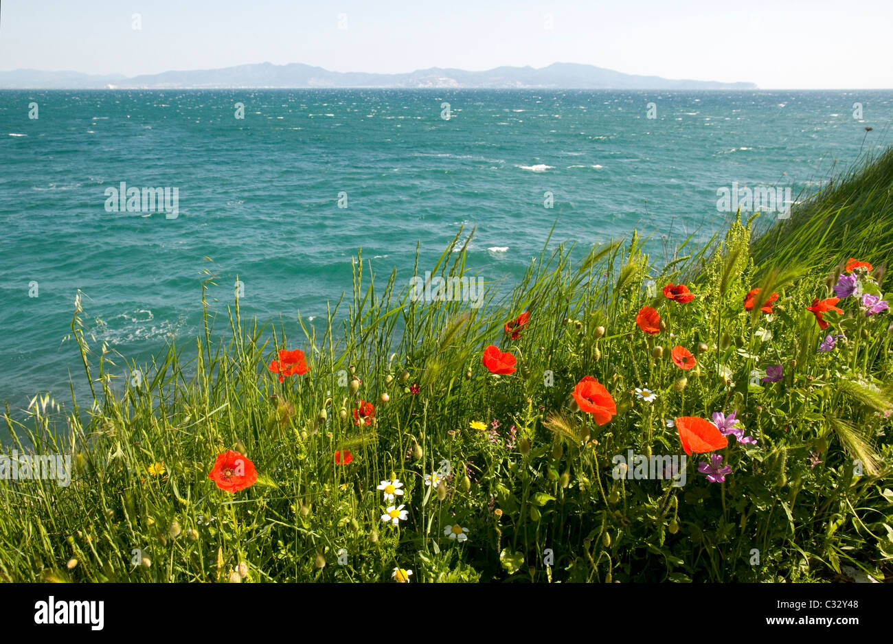 Vue depuis l'Escala. Alt Emporda, Costa Brava, Gérone, Catalogne, Espagne Banque D'Images Vue depuis l'Escala. Alt Emporda, Costa Brava, Gérone, Catalogne, Espagne Banque D'Images