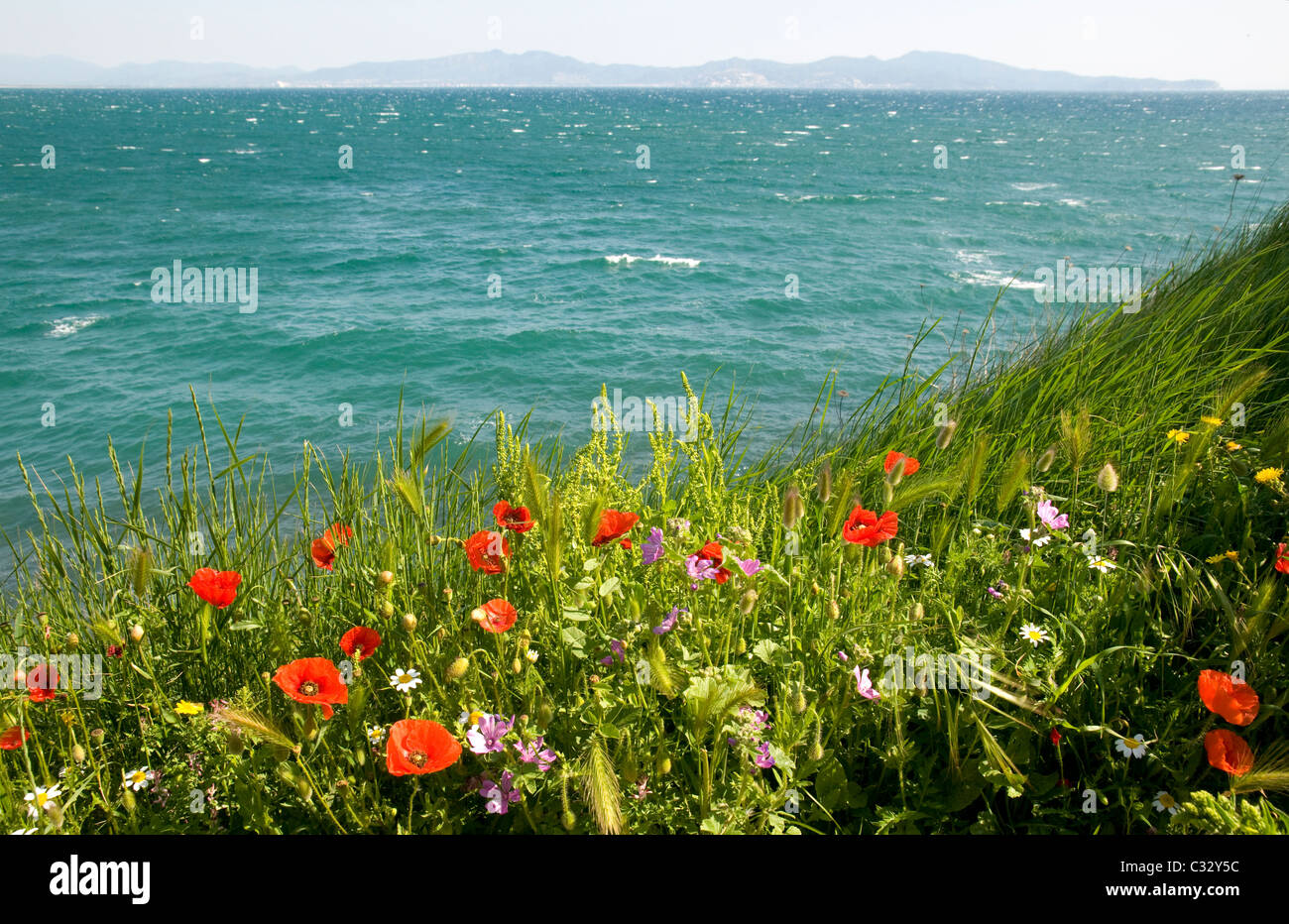 Vue depuis l'Escala. Alt Emporda, Costa Brava, Gérone, Catalogne, Espagne Banque D'Images Vue depuis l'Escala. Alt Emporda, Costa Brava, Gérone, Catalogne, Espagne Banque D'Images