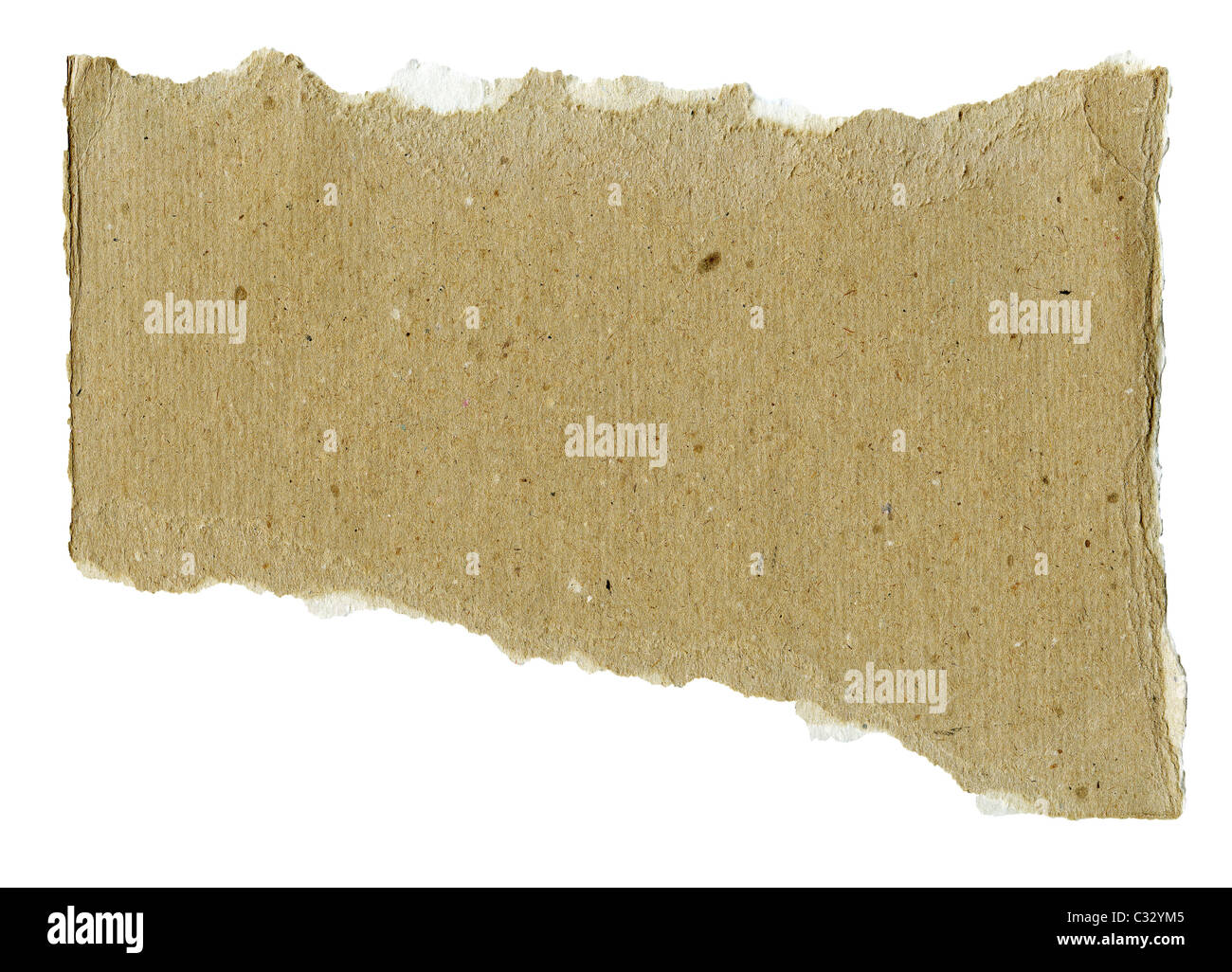 Papier recyclé déchiré texturé avec fibre naturelle isolée des pièces Banque D'Images