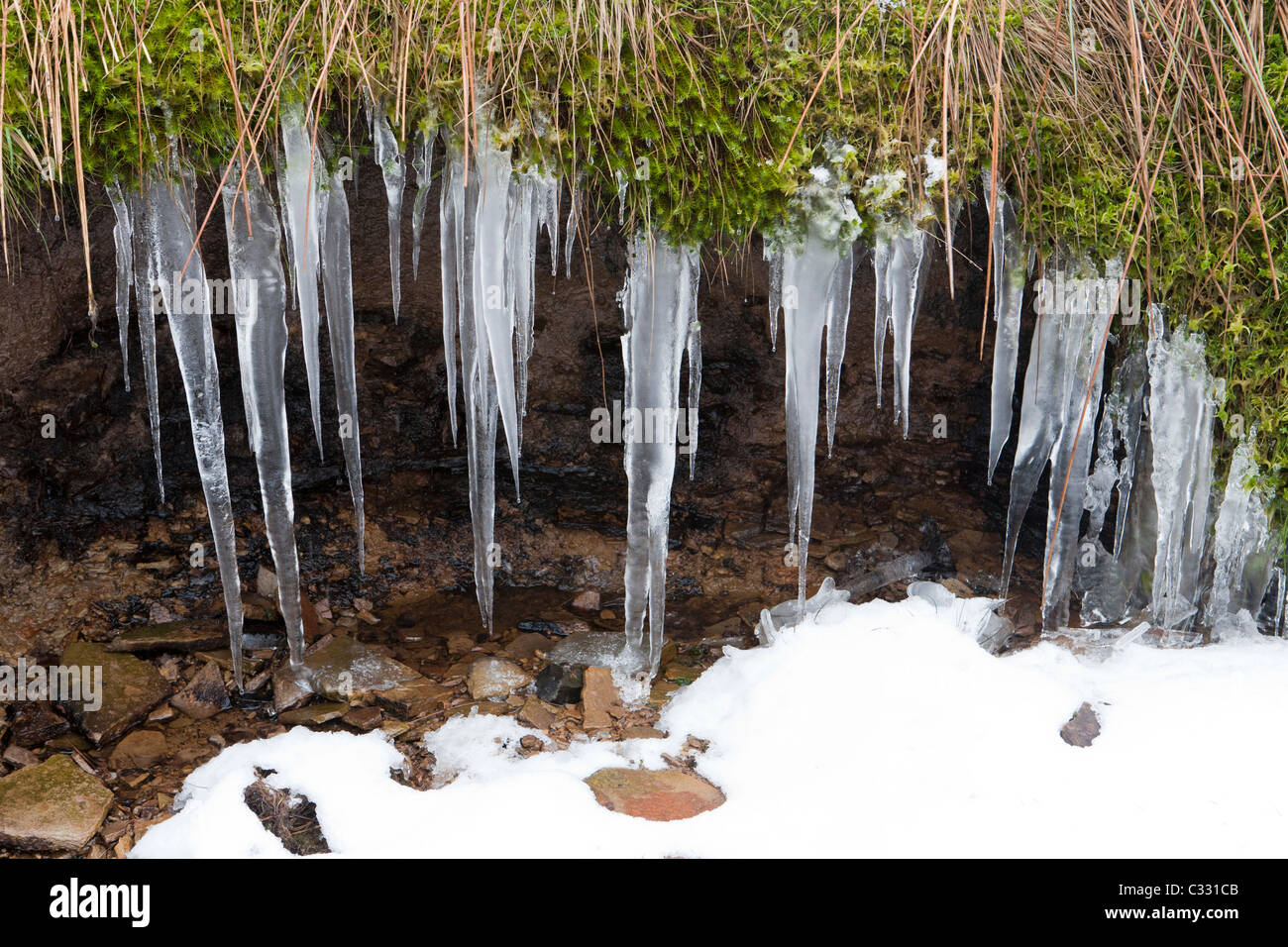 Les glaces formées par l'eau qui suinte des landes hivernales sur Allendale Common, Northumberland UK Banque D'Images