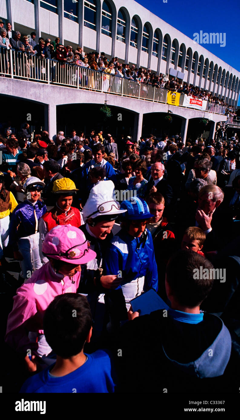 Saint-émilion, Co Dublin, Irlande, les courses de chevaux, les jockeys dans les courses de Leopardstown Banque D'Images