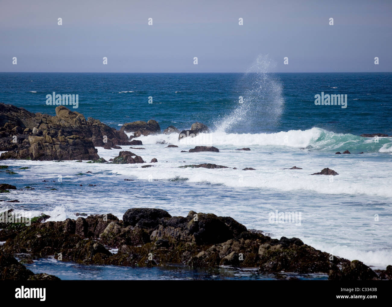Océan Pacifique surf crash sur rocky shore Banque D'Images