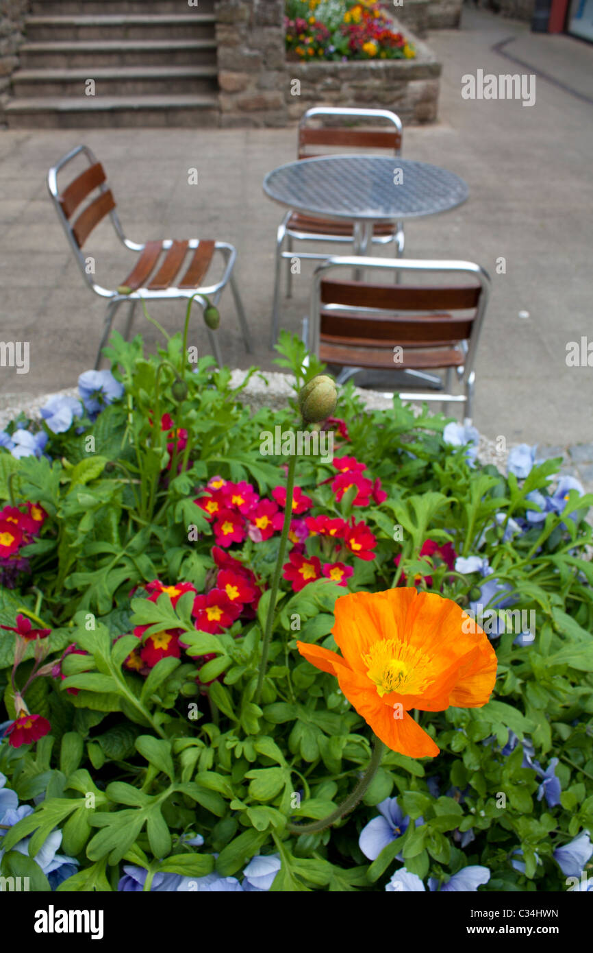 Table, chaises et de fleurs Banque D'Images