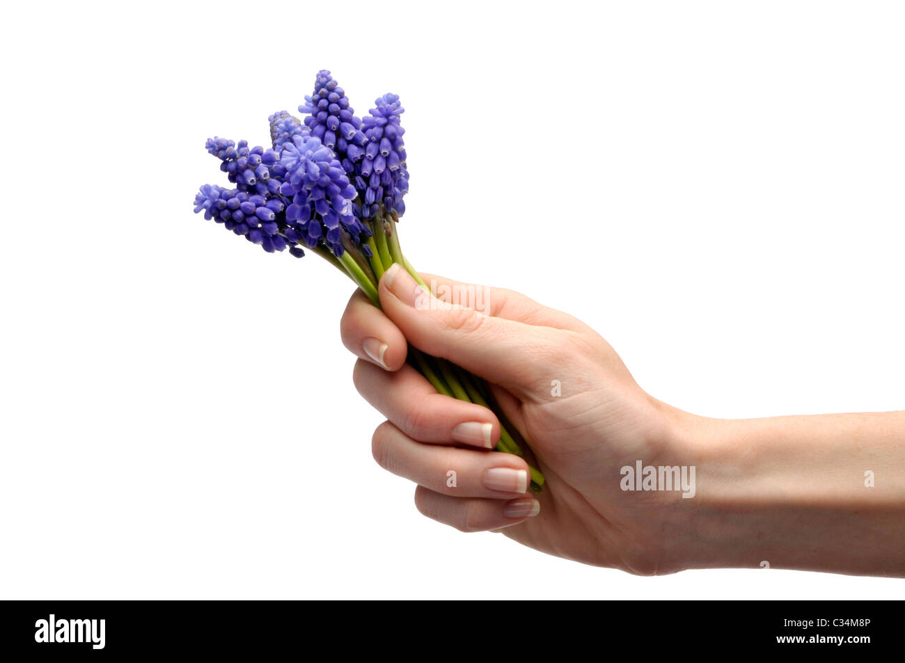 Femme main tenant des fleurs colorées Banque D'Images