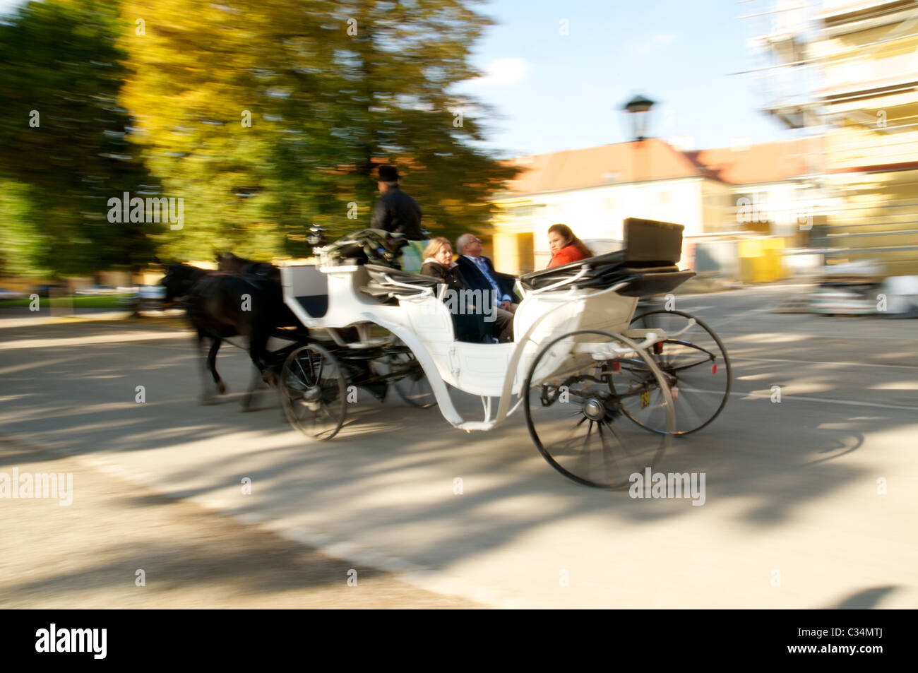 Transport de chevaux dans le parc de Schönbrunn Banque D'Images