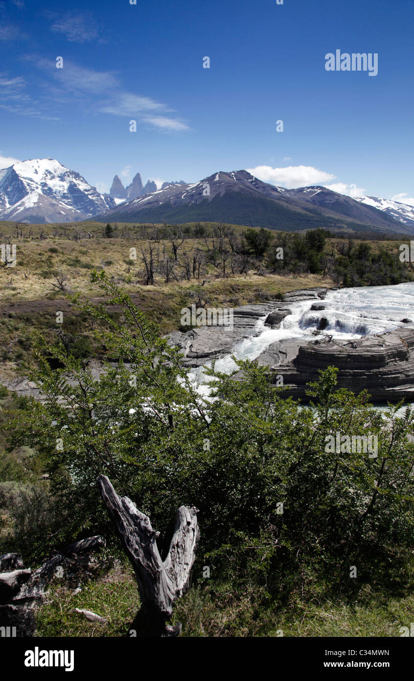 Vues des Torres del Paine et de la rivière Paine, Patagonie, Chili, Amérique du Sud. Banque D'Images