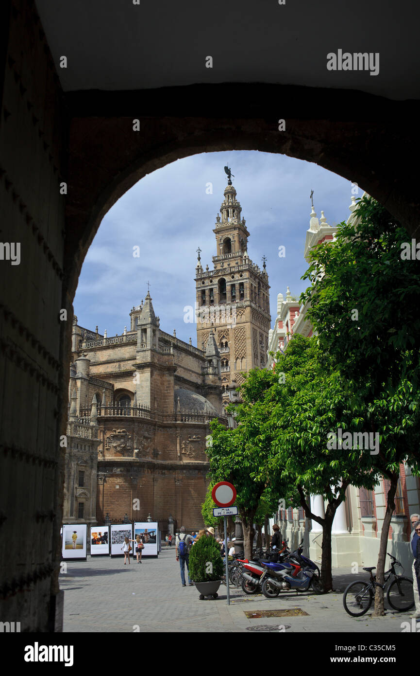 La Giralda et la Cathédrale de Sainte Marie à Séville avec les droits de l'homme exposition photos Banque D'Images