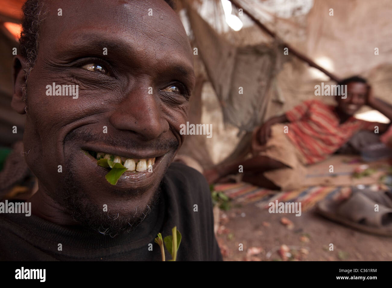 Le khât chewer feuilles à mâcher - Vieille ville de Harar, Ethiopie, Afrique Banque D'Images