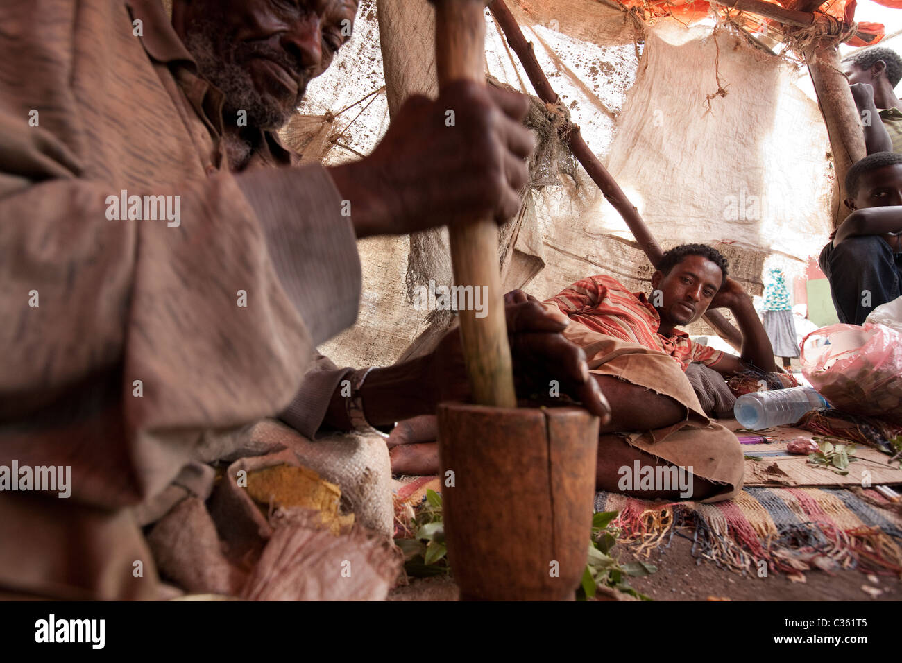 Le khât chewer martelant des feuilles - Vieille ville de Harar, Ethiopie, Afrique Banque D'Images