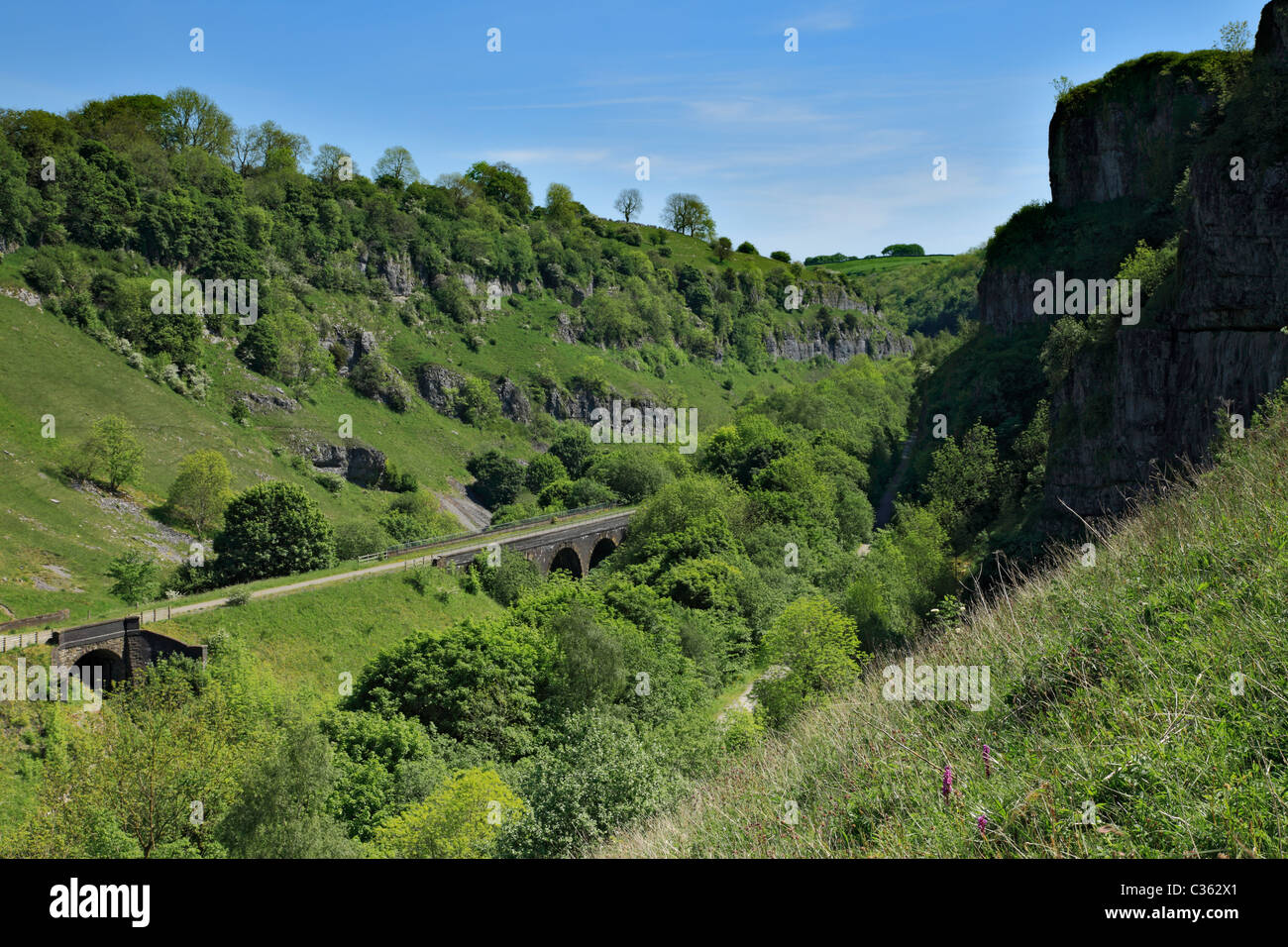 Monsal Trail, Chee Dale, Pic Blanc, le Peak District Banque D'Images