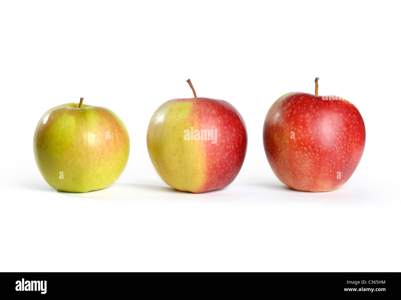 Trois pommes. Vert, à moitié rouge et rouge. Isolé sur fond blanc Banque D'Images