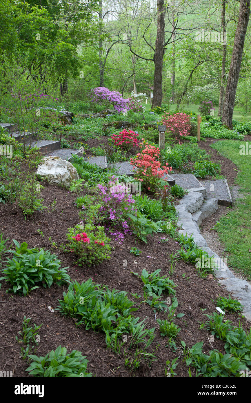 Oak Ridge, Tennessee - l'Arboretum de l'Université du Tennessee. Banque D'Images
