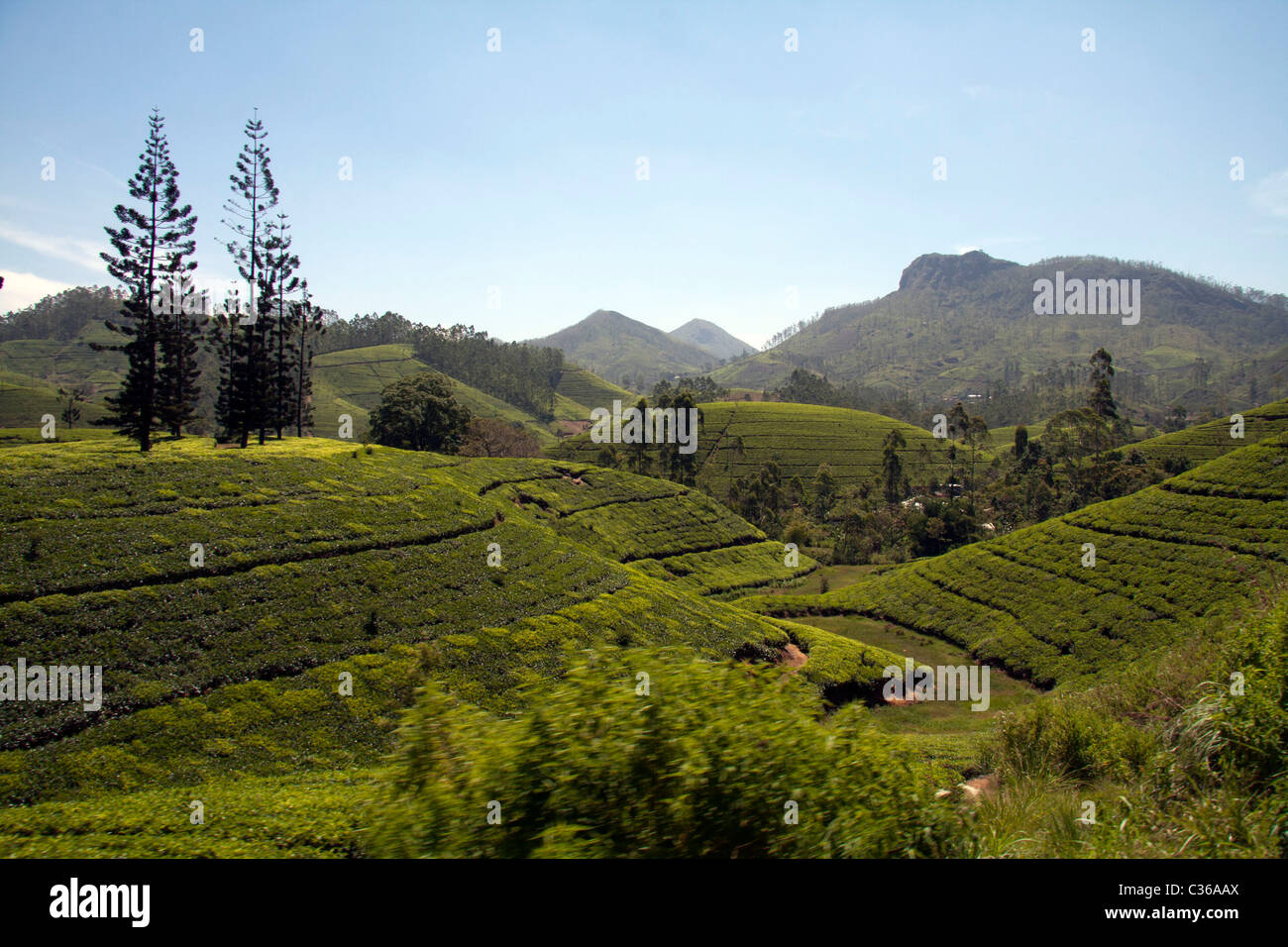 La montagne au Sri Lanka Banque D'Images