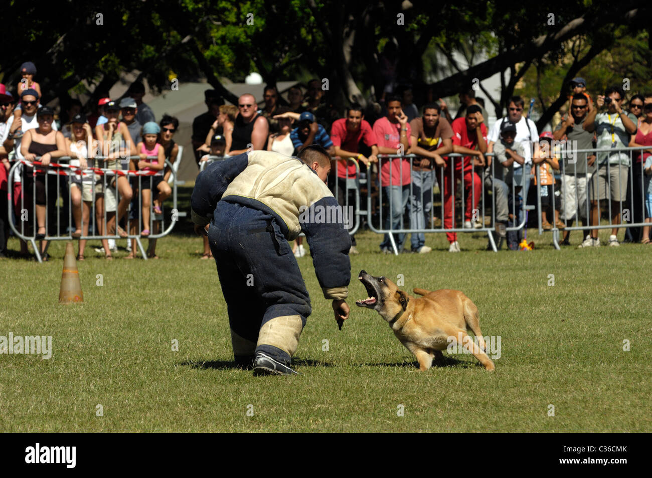 Les forces de l'armée française de montrer Banque D'Images