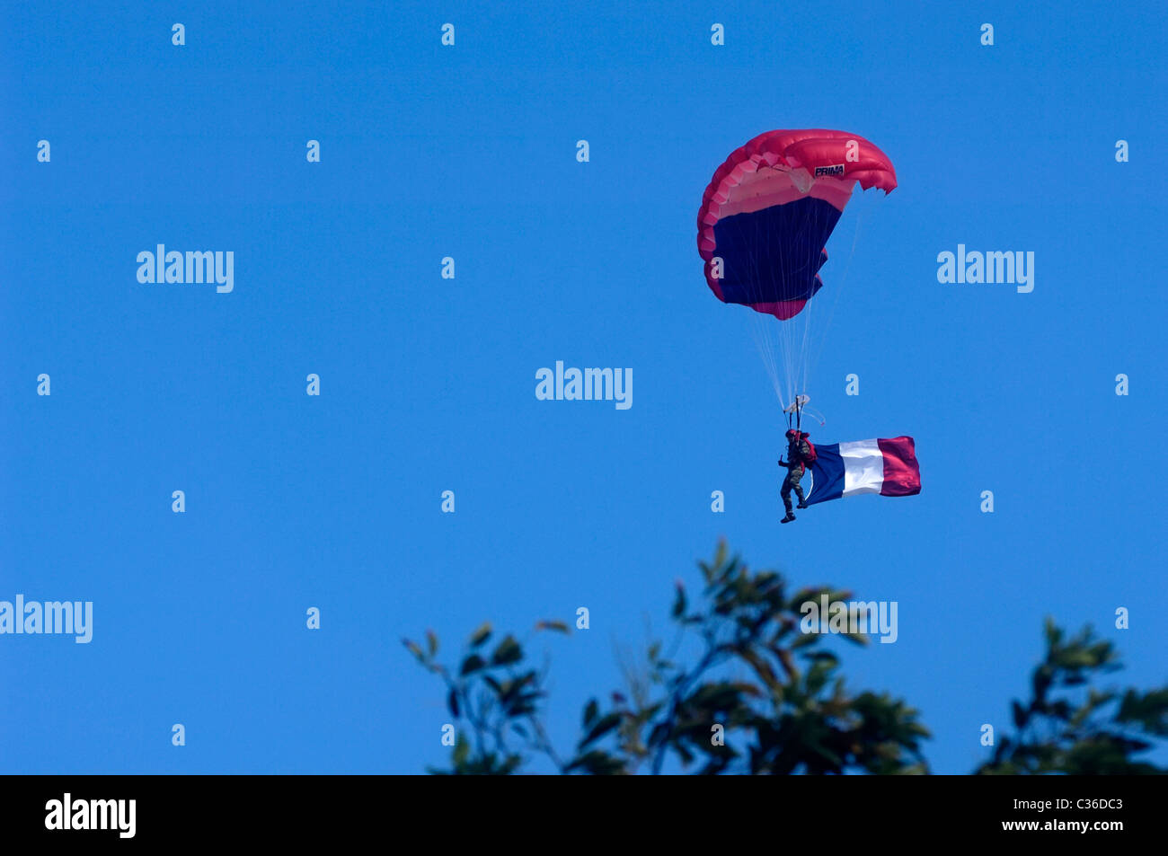 Les forces de l'armée française de montrer Banque D'Images