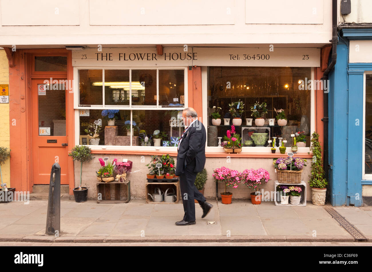 La Chambre fleur fleuriste en magasin , , Angleterre , Angleterre , Royaume-Uni Banque D'Images
