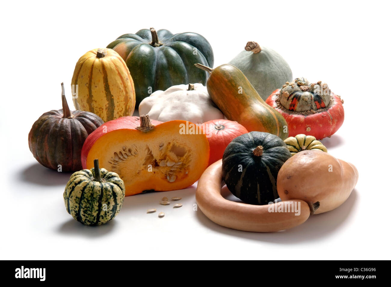 Types de Differrent pumpkin Banque D'Images