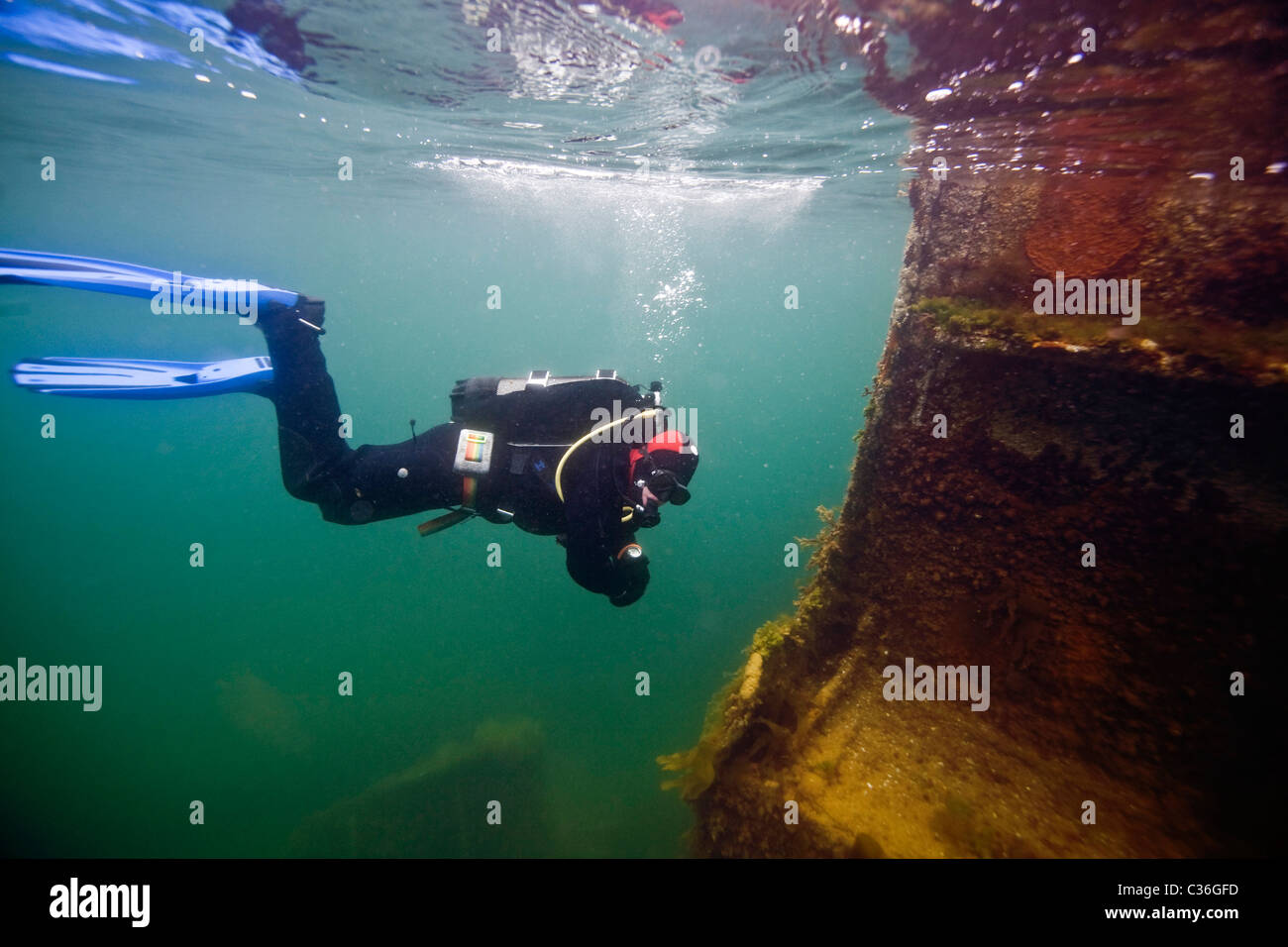 Un plongeur sur l'épave de l'Empire de la mer, l'un des blockships à barrière Churchill No.3, Scapa Flow, Orkney Banque D'Images