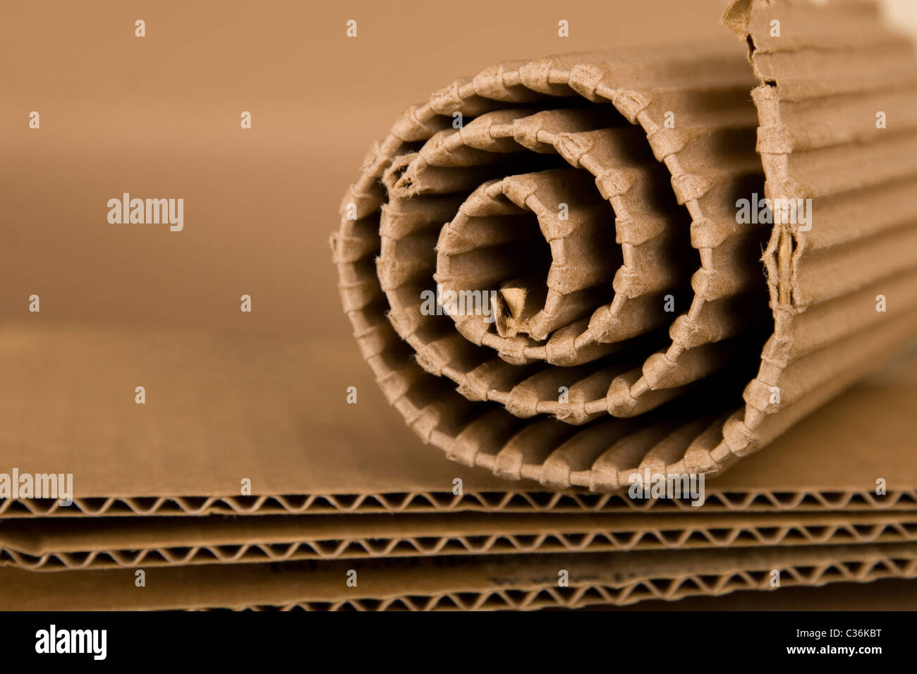 Close-up of spiral fabriqué à partir de carton brun Banque D'Images