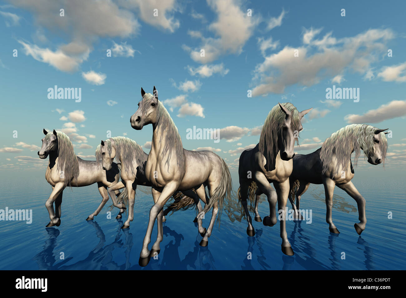 Un groupe de chevaux avec la même race, le tempérament et les couleurs représentent l'harmonie. Banque D'Images