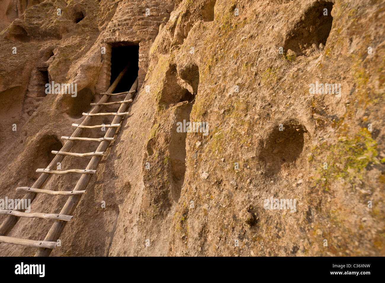 Échelle en bois menant à theTalus Maisons, Native American cliff en séjour à Bandelier National Monument à New Mexico, USA. Banque D'Images