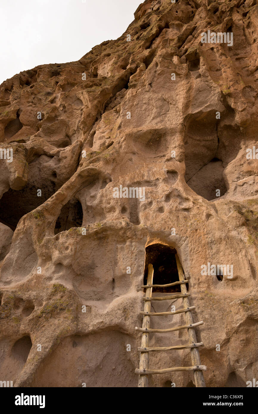 Échelle en bois menant à l'Astragale Maisons, Native American cliff en séjour à Bandelier National Monument à New Mexico, USA. Banque D'Images