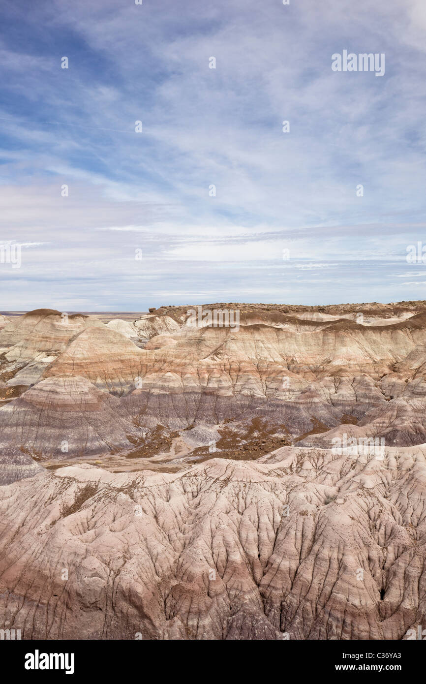 L'érosion de couches sédimentaires forment une tendance frappante à la Blue Mesa dans le Parc National de la Forêt Pétrifiée, Arizona, USA. Banque D'Images