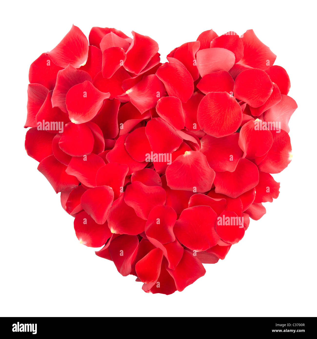 Pétales de rose rouge coeur isolé Banque D'Images