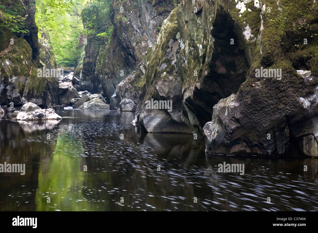 La rivière Conwy circulant dans 'The Fairy Glen' près de Betwys-Y-coed, Parc National de Snowdonia, le Nord du Pays de Galles, Royaume-Uni Banque D'Images