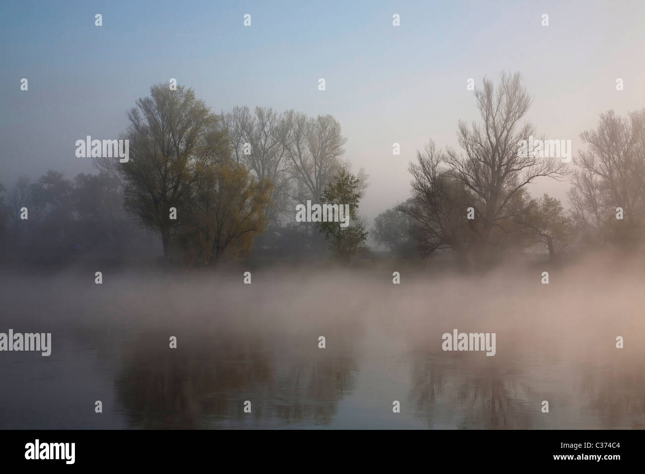 Misty un lever de soleil sur l'Elbe en Allemagne. Banque D'Images