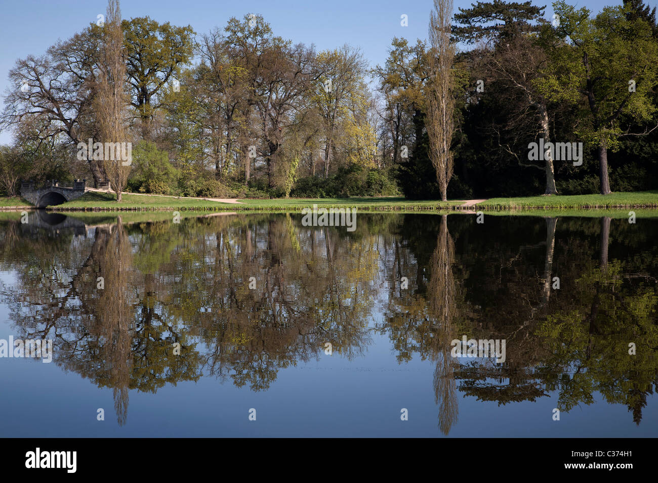 Arbres reflétée dans un lac en Worlitz Gardens, de l'Allemagne. Banque D'Images