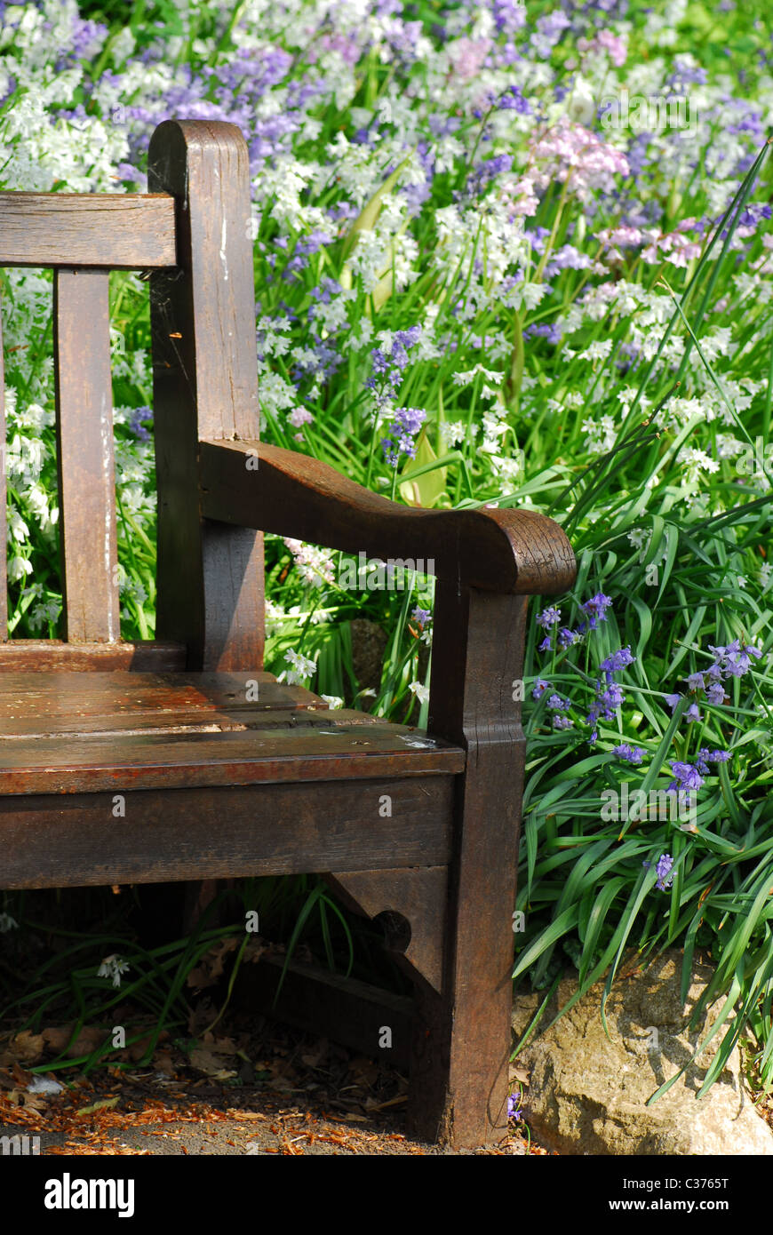 Banc En Bois Dans Un Jardin Anglais Au Printemps L Emplacement Est Tessier Jardin L Eglise Sainte Marie Torquay Devon Royaume Uni Photo Stock Alamy