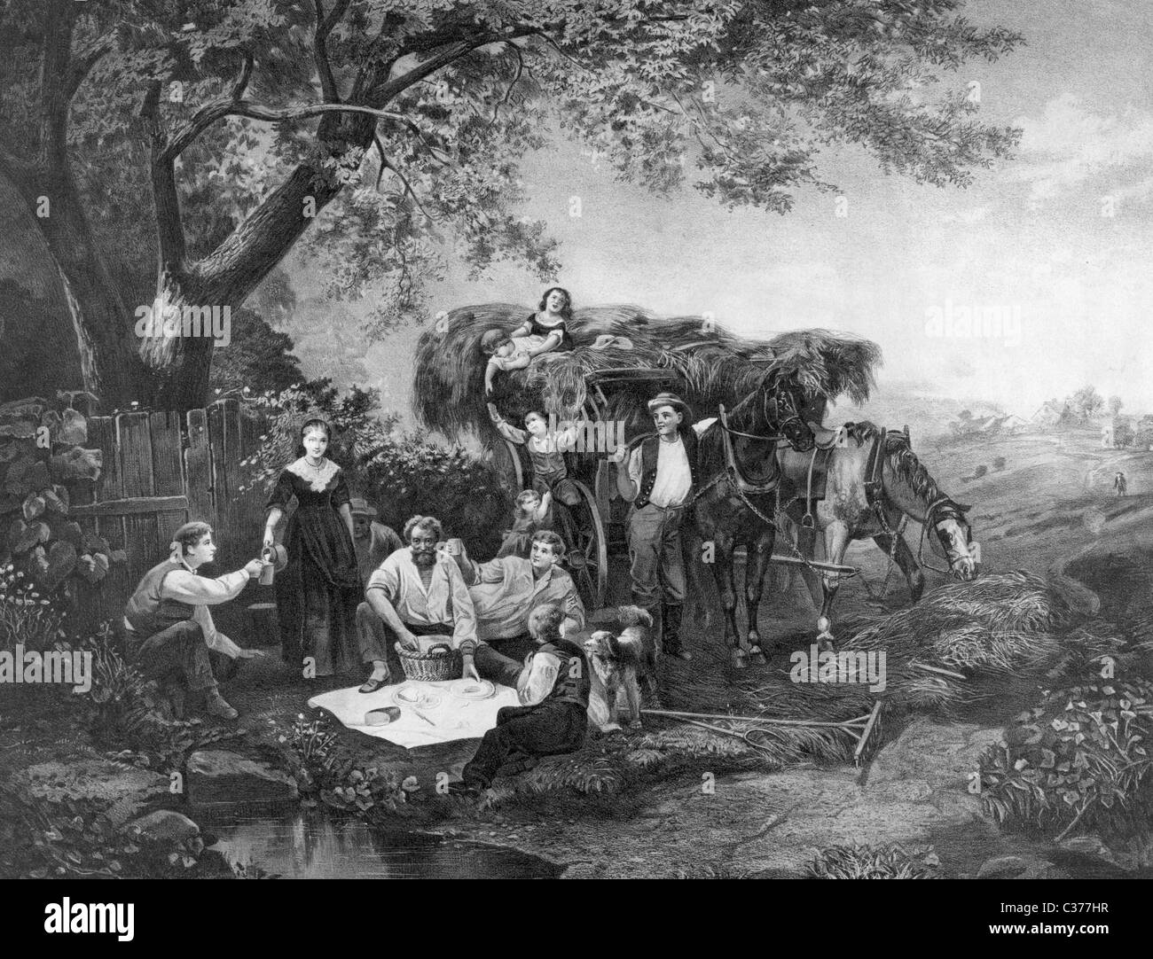 La récolte le déjeuner Banque D'Images