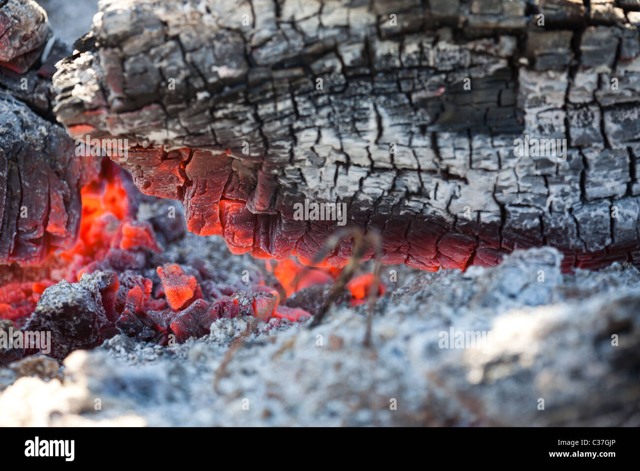 Braises closeup Banque D'Images