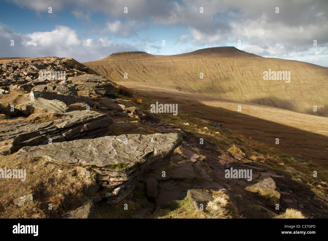 Pen Y Fan et du maïs, dans les Brecon Beacons. Banque D'Images