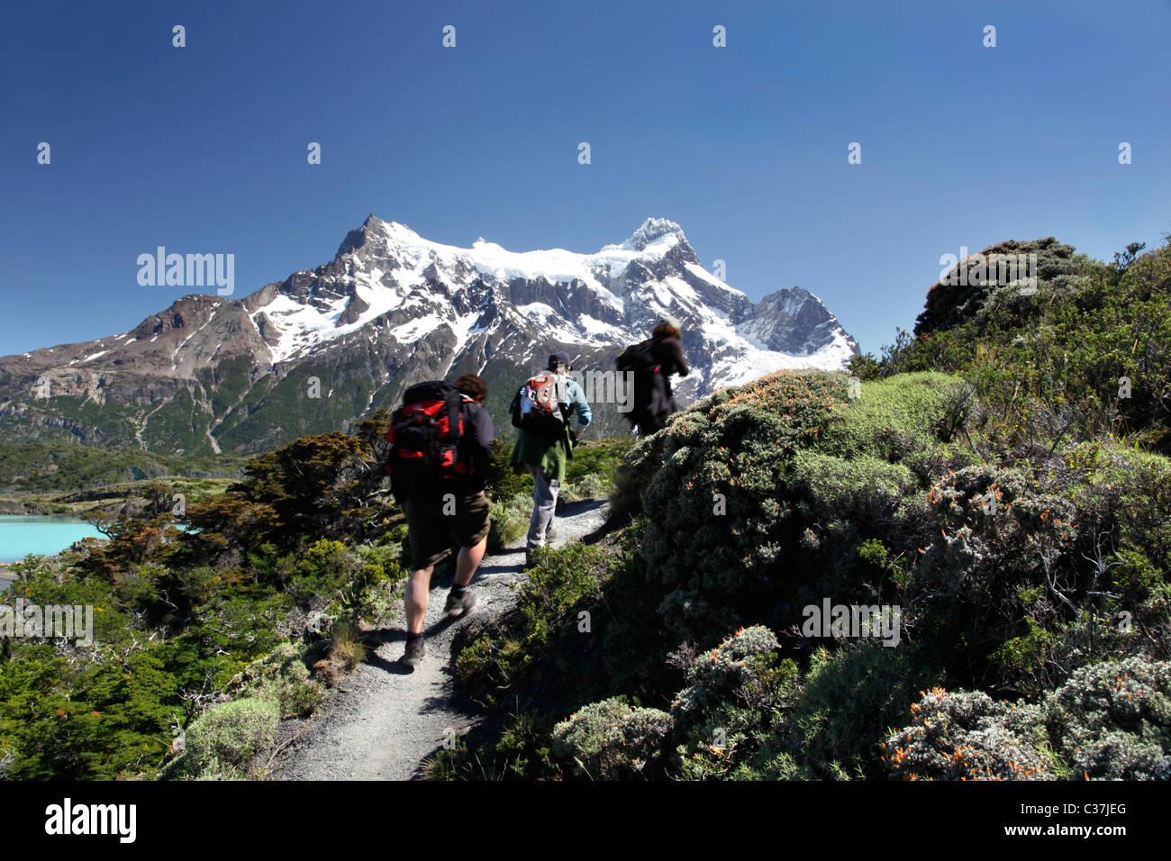 marcher-au-chili-banque-de-photographies-et-d-images-haute-r-solution