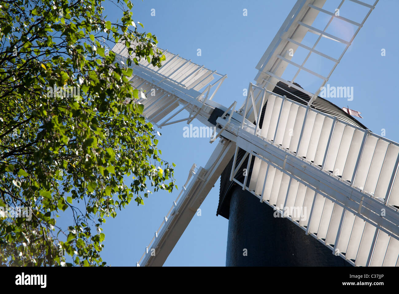 Brixton Ashby Moulin construit en 1816 dans le sud de Londres. Banque D'Images