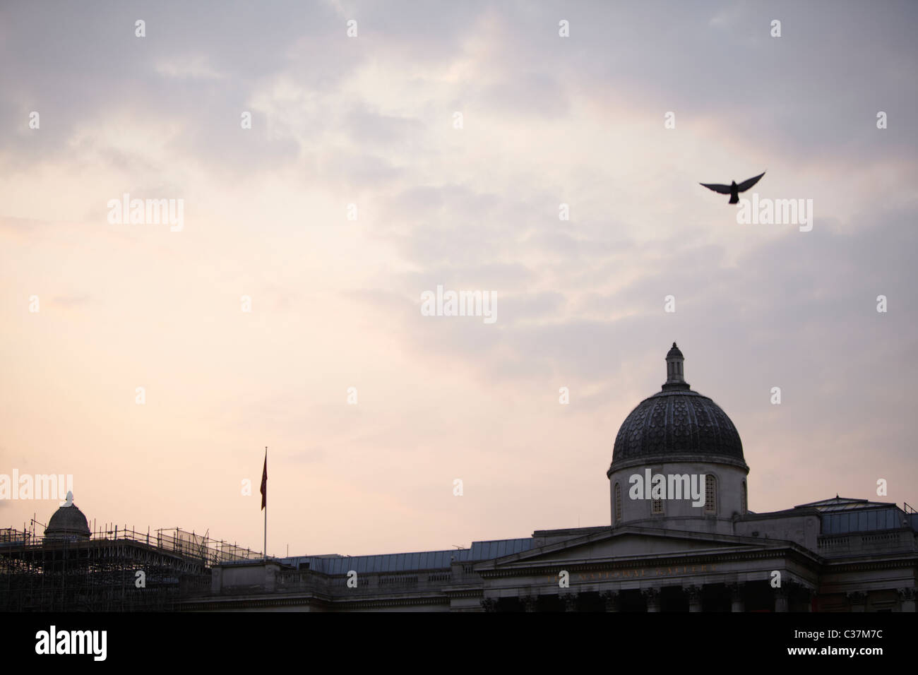 Oiseau volant au-dessus de la galerie nationale Banque D'Images