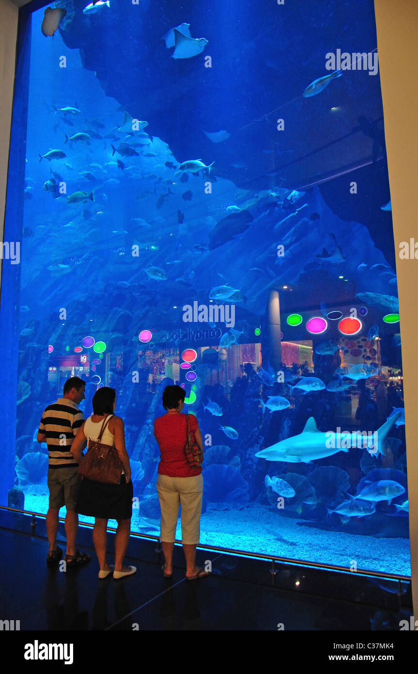 Dubai Aquarium & Underwater Zoo, le centre commercial de Dubaï, du centre-ville, Centre Commercial de Dubaï, Dubaï, Émirats Arabes Unis Banque D'Images