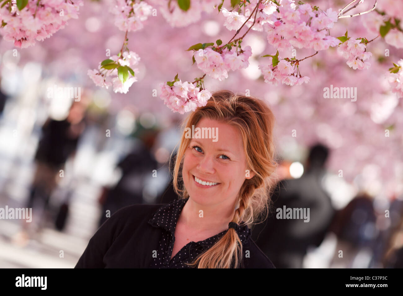 Femme de cerisier japonais Banque D'Images