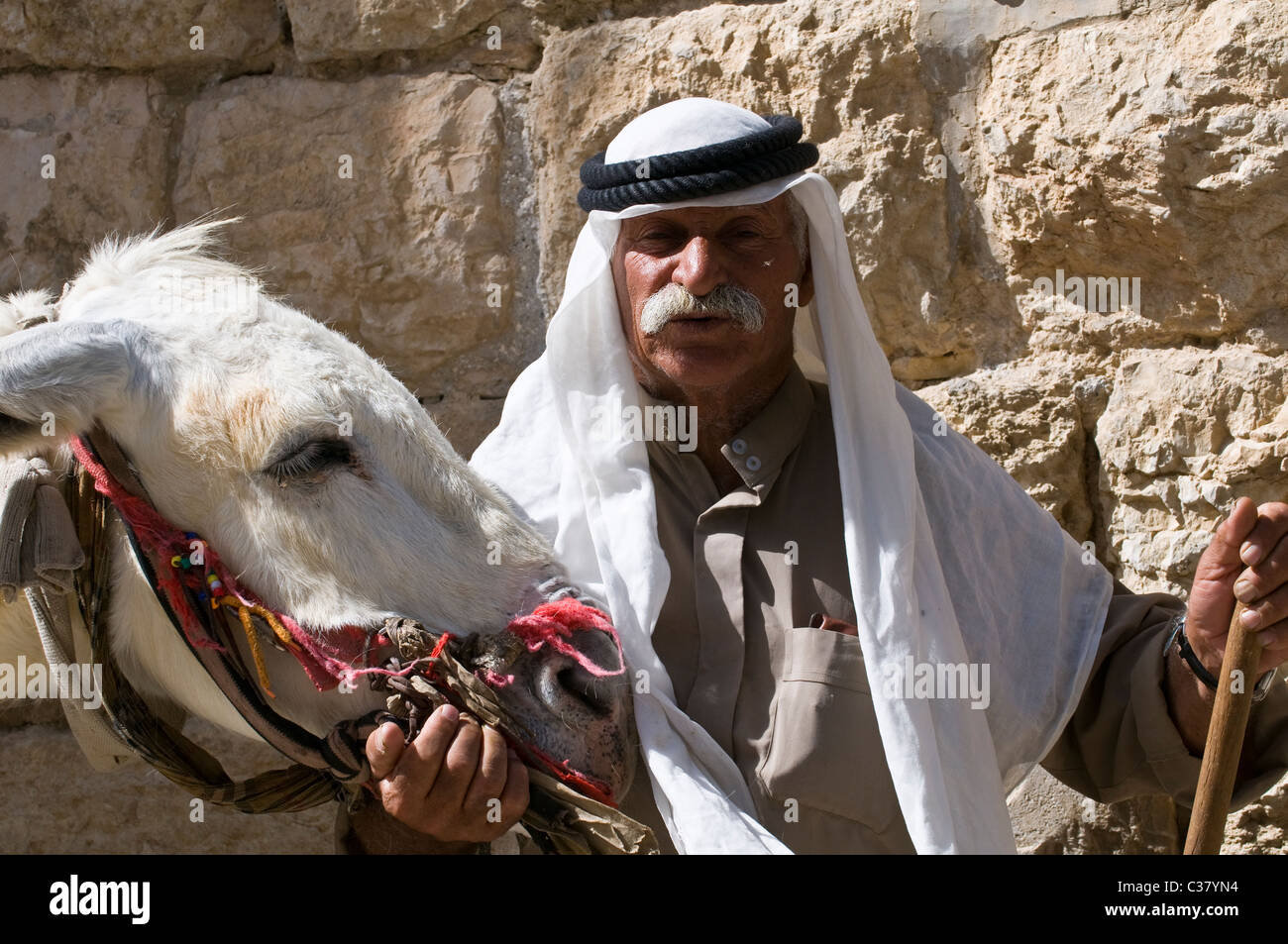 Un arabe et son âne sur le dessus de la Mt. des Oliviers à Jérusalem. Banque D'Images