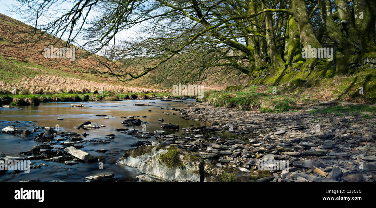 La rivière Barle, Exmoor,Simonsbath,North Devon Banque D'Images