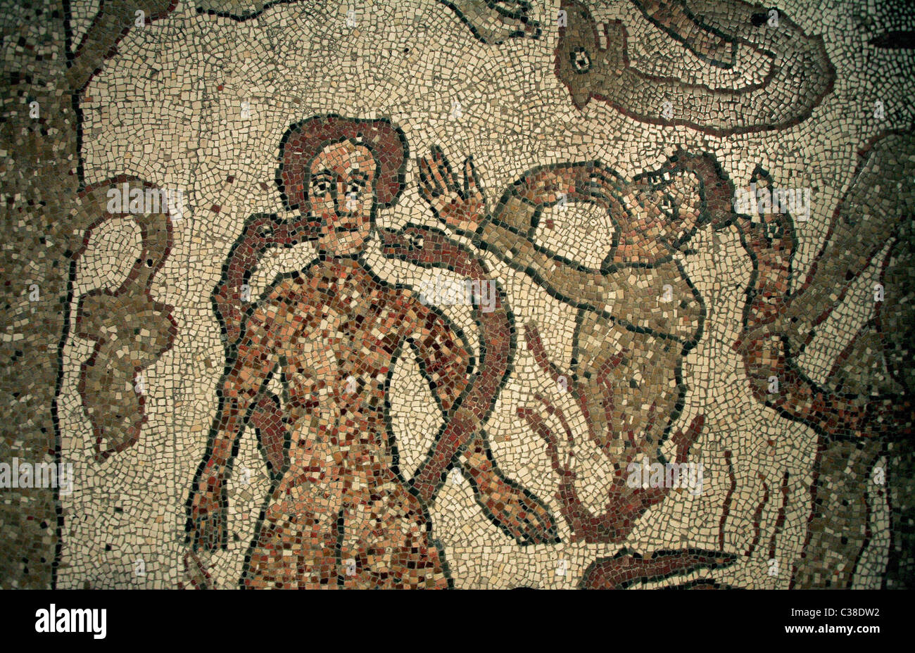 Cathédrale, mosaïque, Otranto, Pouilles, Salento, Italie, Europe Banque D'Images