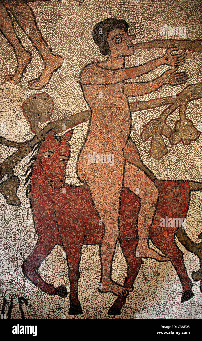 Cathédrale, mosaïque, Otranto, Pouilles, Salento, Italie, Europe Banque D'Images